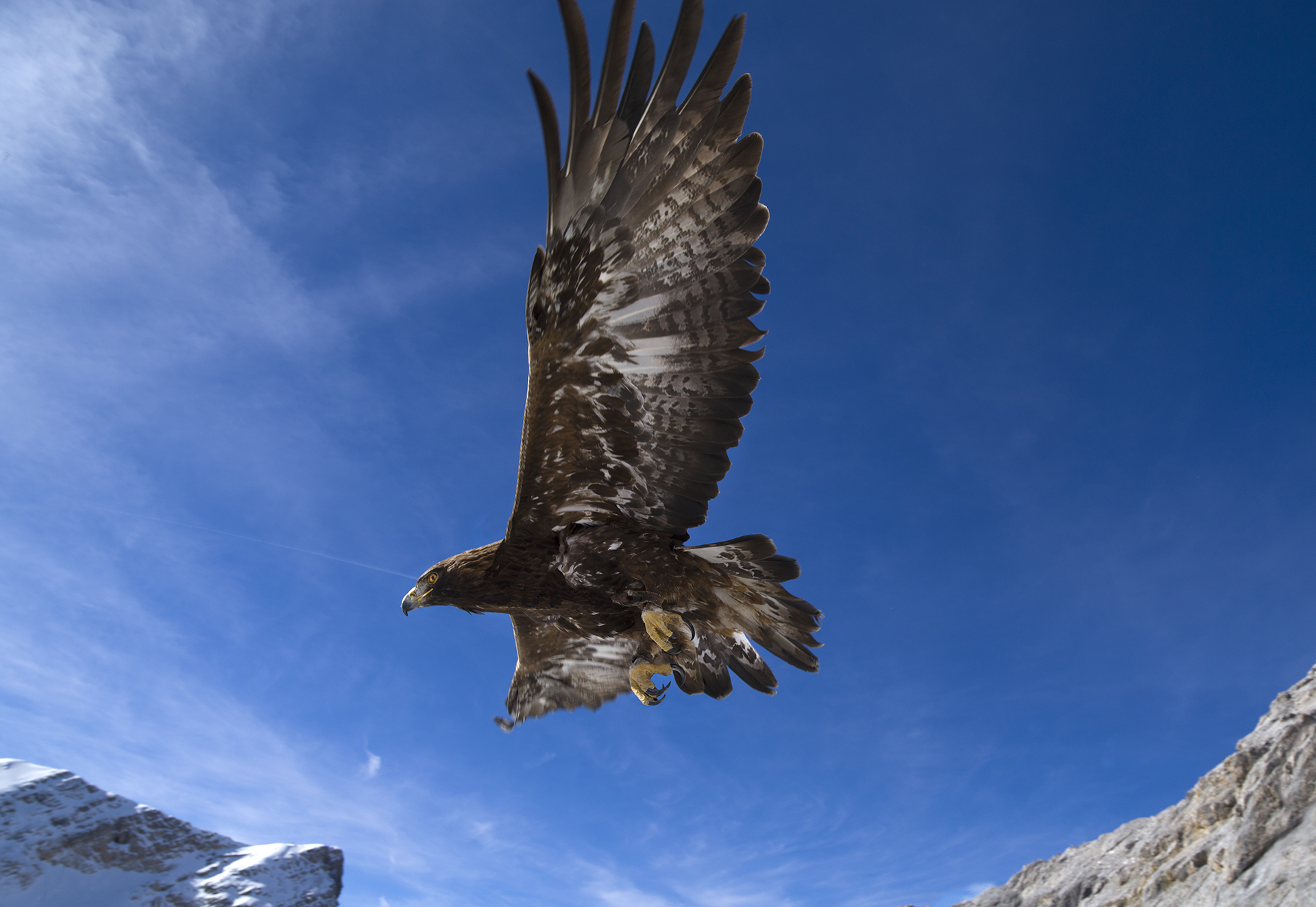 ©NomiBaumgartl_EW_Cover_Ohne_Kamera _1920px